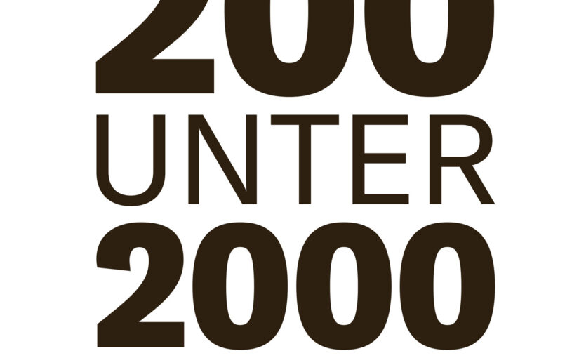 ARTISTS ÜBERSCHAU #07. 200 unter 2000