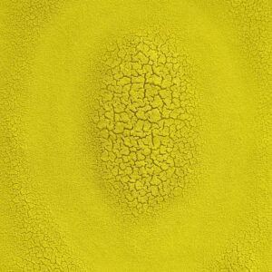 Lemon Yellow Pigment